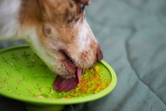 DIY Licking Mat for Dogs - A Treat with Many Benefits