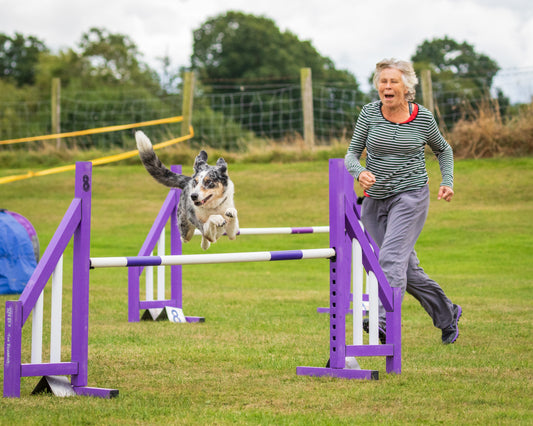 The Benefits of Dog Agility Training - Unleash the Fun: