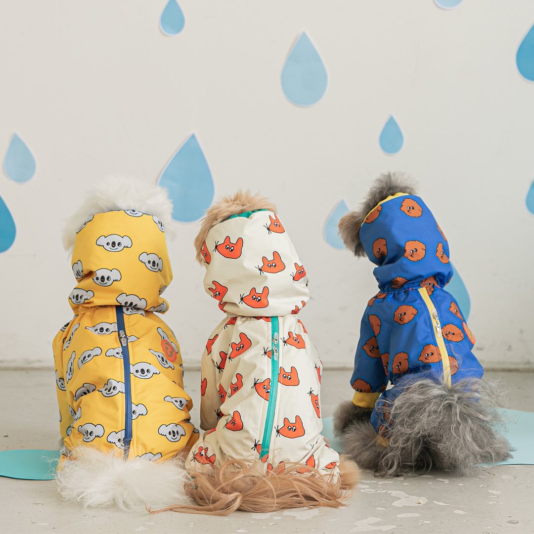 Waterproof Graphic Raincoat with Hood