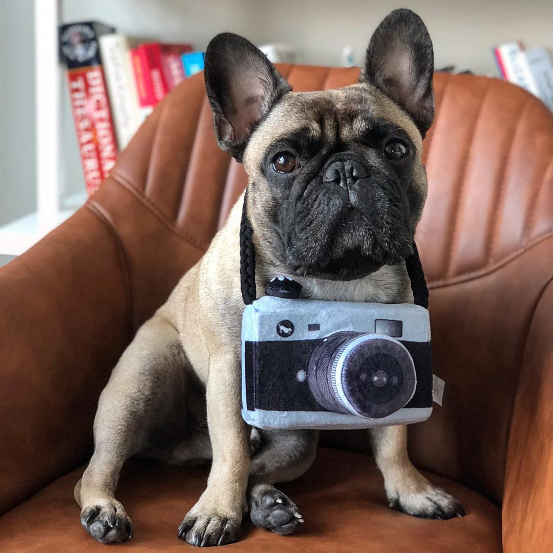 Realistic Camera Plush Toy