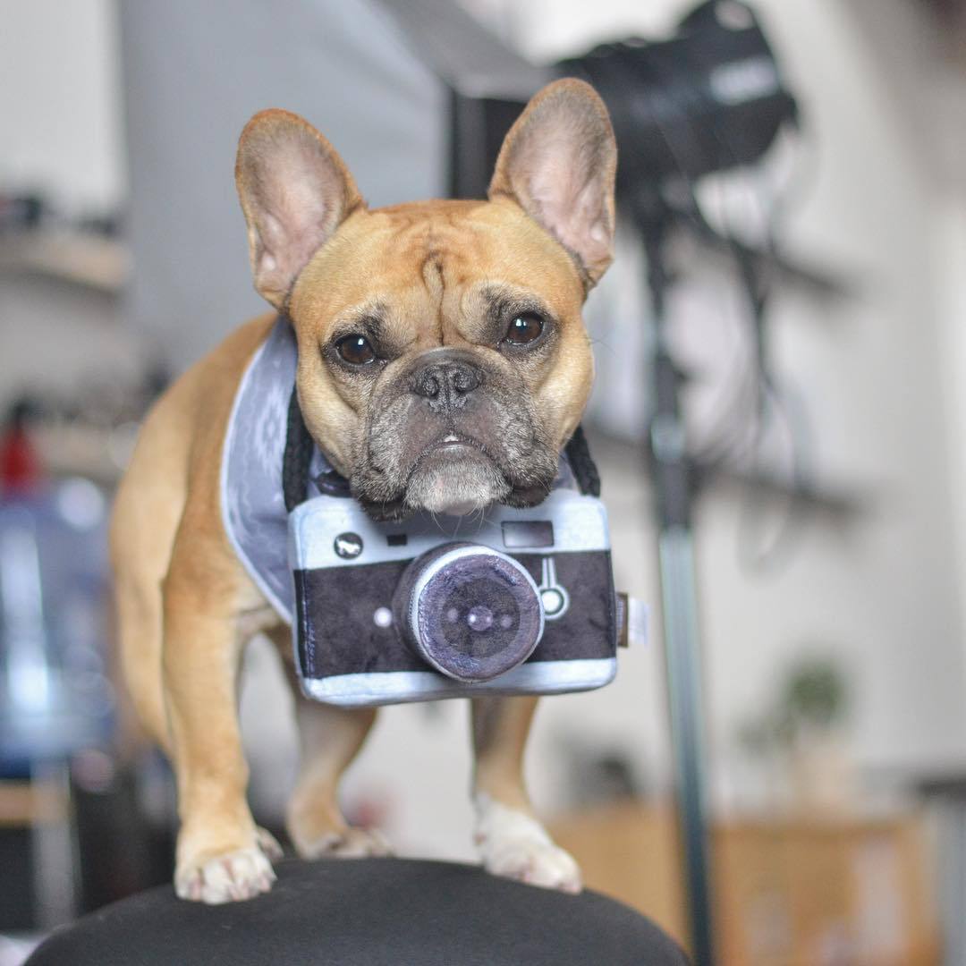 Realistic Camera Plush Toy