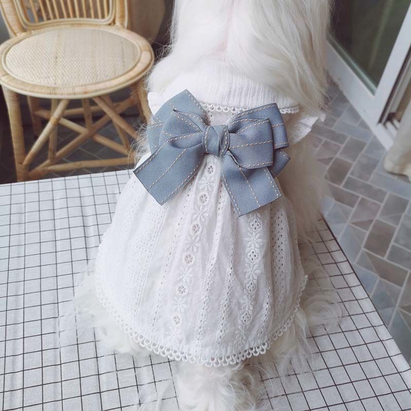 Cotton Dress with Bow Detail